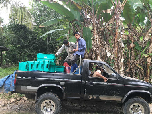 Sourcing Season: Breaking Barriers in Bolivia