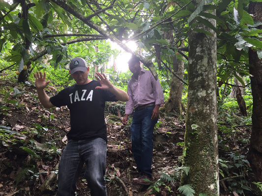#SourcingSeason - Dominican Republic: Direct Trade in Depth