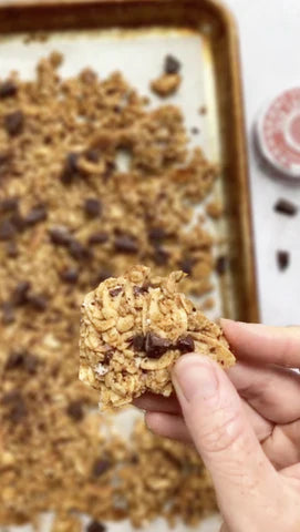 Almond Joy Granola