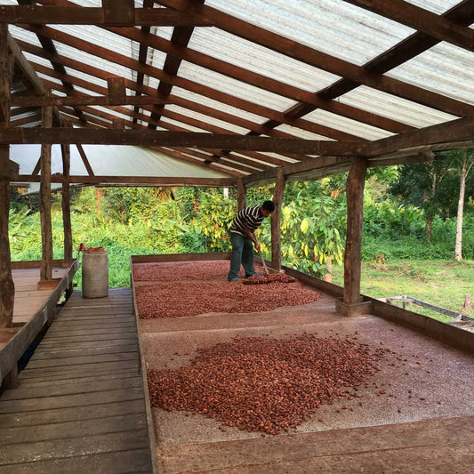 Sourcing Season: Snapshots from Belize
