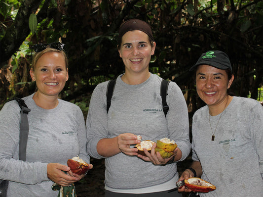 A New Cacao Bean Origin: Ecuador