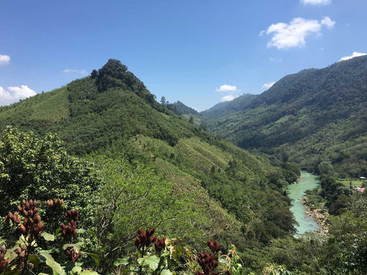Snapshots From Sourcing Season: Guatemala