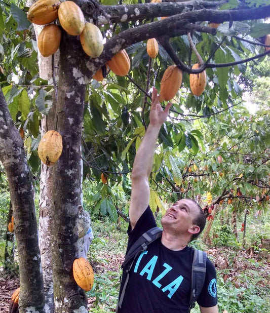 It's Cacao Sourcing Season!