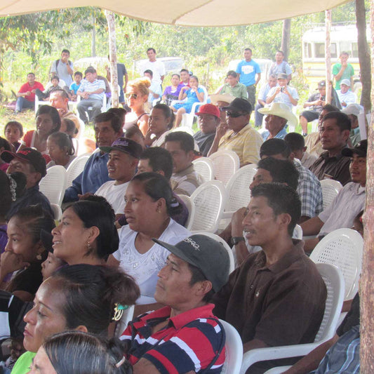 Cacao in Belize: When Price Does Not Equal Value