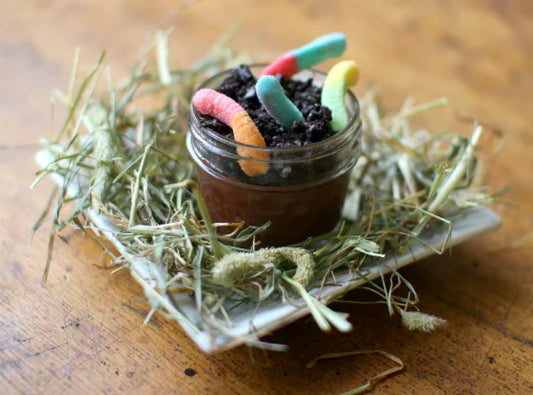 Worms in Dirt Pudding