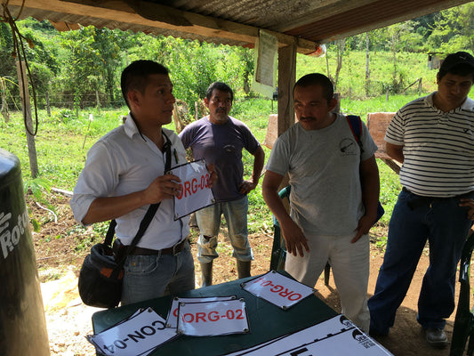 Sourcing Season: The Challenges of Organic