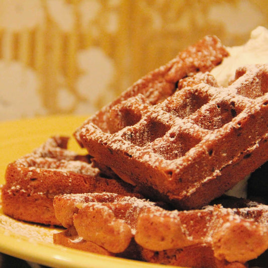 Gluten Free Chocolate Coconut Waffles (Nom Pum)